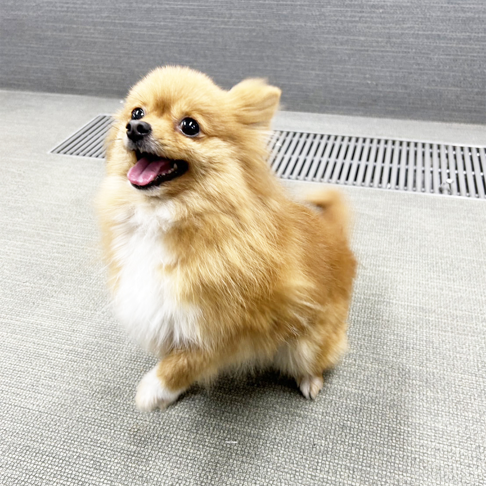 生徒が撮影してくれた写真♪②